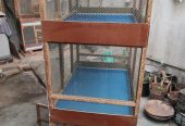 3 Portion Wooden Pinjra Cage Brooder