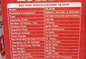 Tubular battery for sale