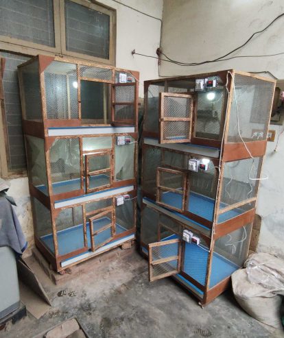 3 Portion Wooden Pinjra Cage Brooder