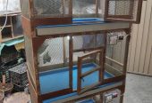 3 Portion Wooden Pinjra Cage Brooder