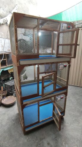 3 Portion Wooden Pinjra Cage Brooder