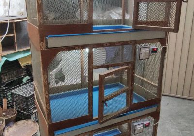 3 Portion Wooden Pinjra Cage Brooder