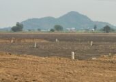 Plot for Sale in Guntur City, 135 Square Yards Just for 12 lakhs, Back